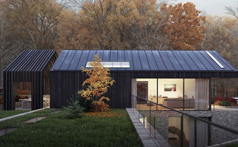 Nature envelopes an urban woodland home