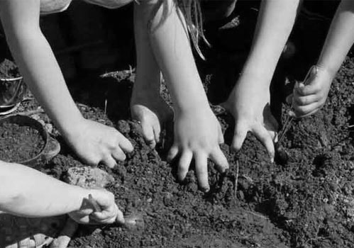 Garden grabbing policy dropped in revised London Plan